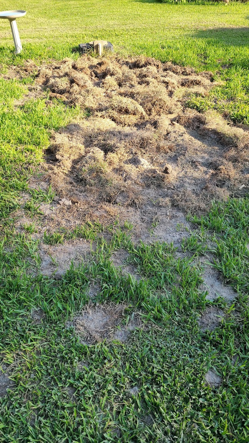 Septic system installation